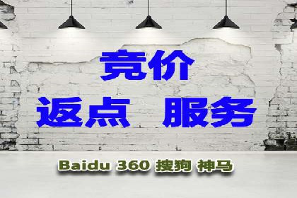 探索SEM竞价专员的技能要求与成功案例